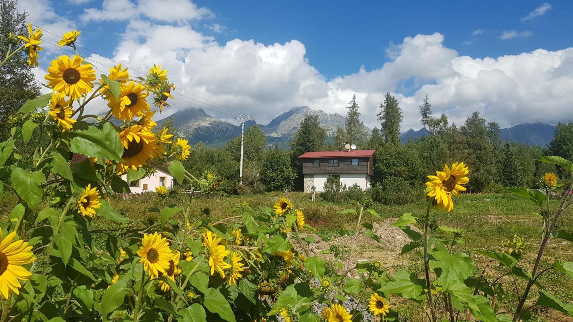 Chata Tatranka Štôla Exterior foto